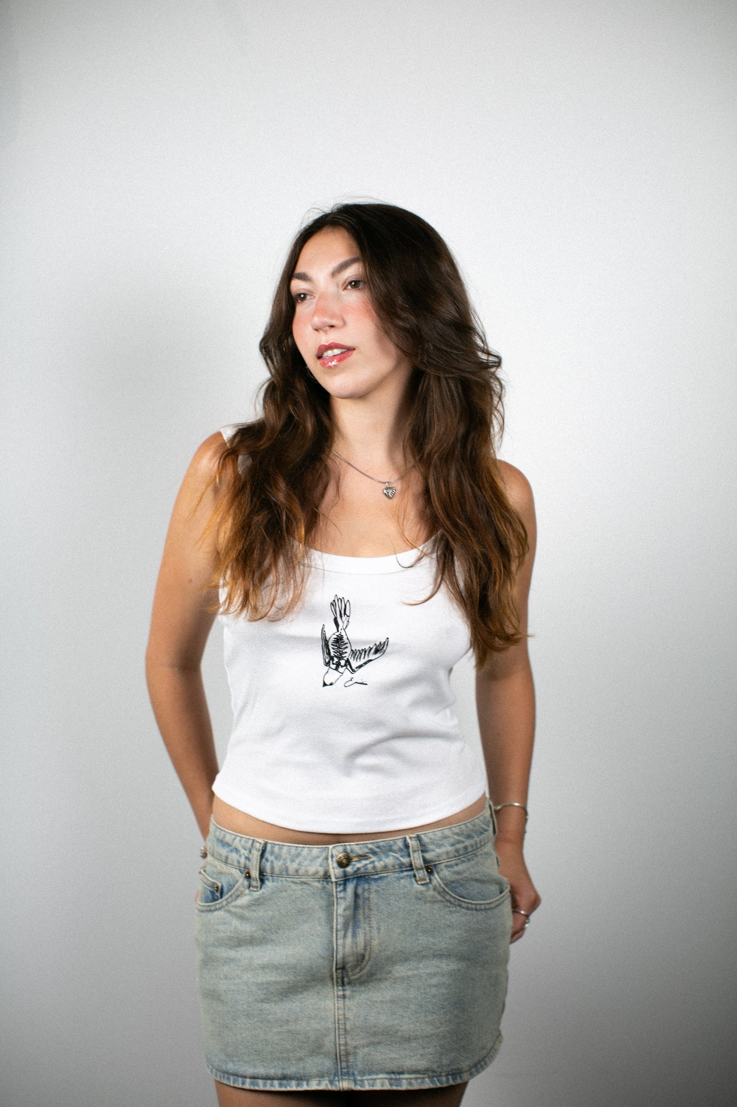 Skeleton Bird Tank